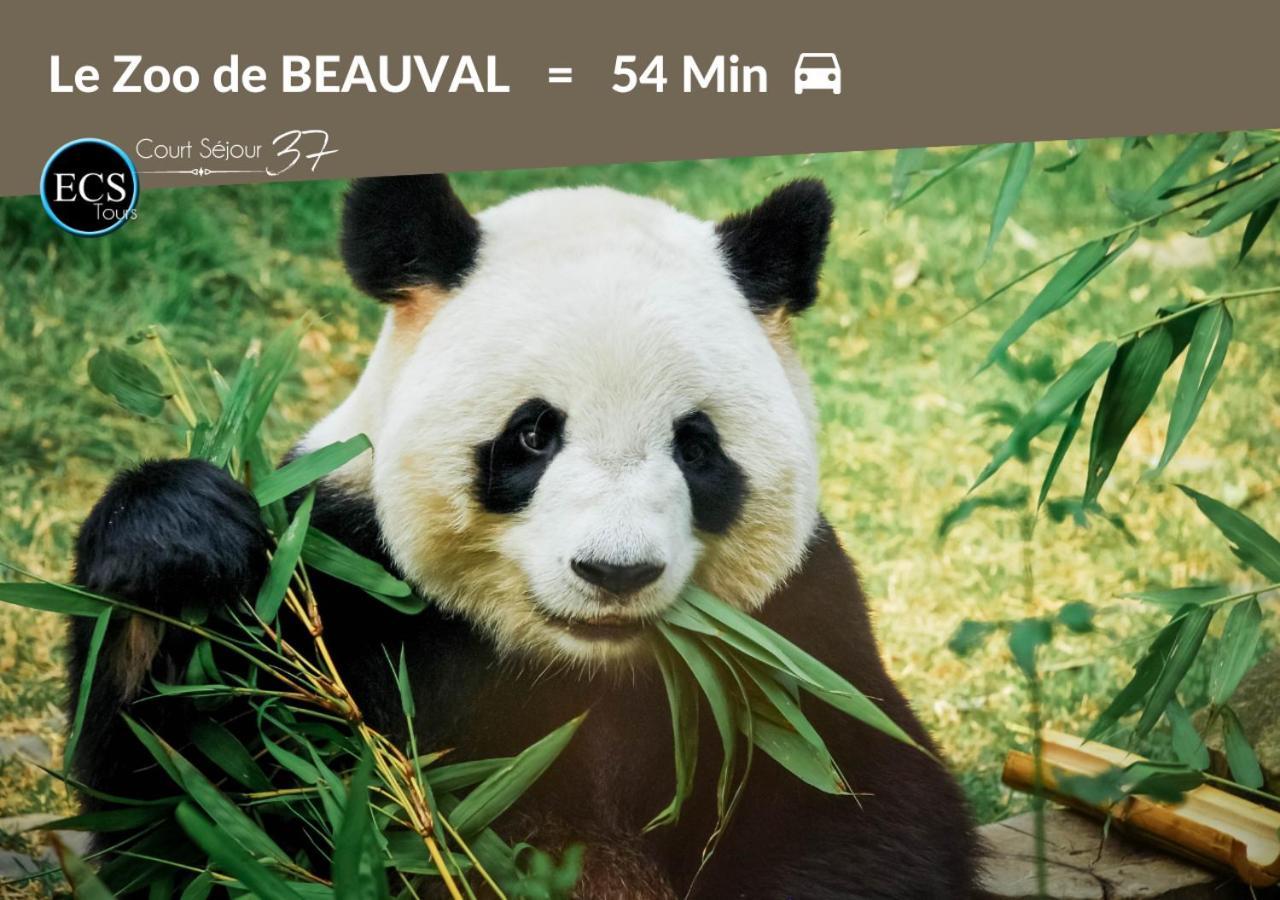 "Cozy Zen" 1 Grande Chambre - Calme - Arrivee Autonome - 6 Pers - Parking Gratuit Tours Bagian luar foto